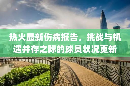 热火最新伤病报告