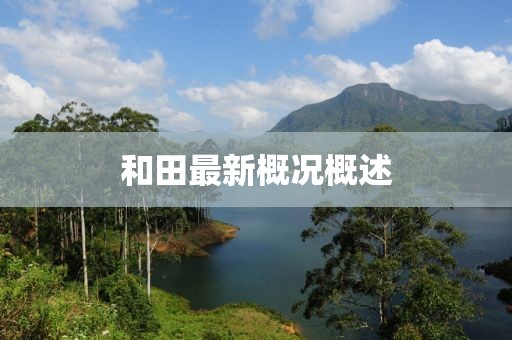 和田最新情况