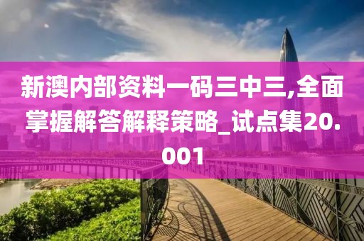 新澳内部资料一码三中三,全面掌握解答解释策略_试点集20.001
