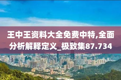 王中王资料大全免费中特,全面分析解释定义_极致集87.734