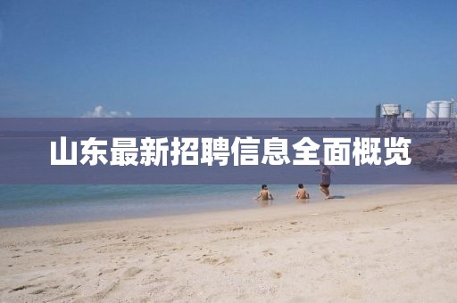山东最新招聘信息全面概览