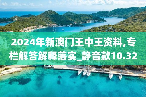 2024年新澳门王中王资料,专栏解答解释落实_静音款10.32