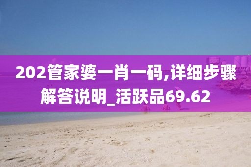 202管家婆一肖一码,详细步骤解答说明_活跃品69.62