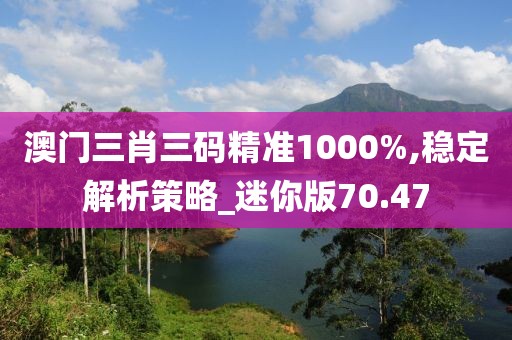 澳门三肖三码精准1000%,稳定解析策略_迷你版70.47