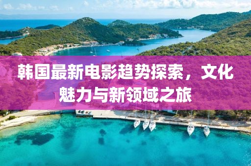 韩国最新电影趋势探索，文化魅力与新领域之旅