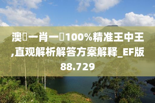 澳門一肖一碼100%精准王中王,直观解析解答方案解释_EF版88.729