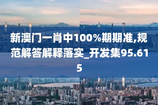 新澳门一肖中100%期期准,规范解答解释落实_开发集95.615