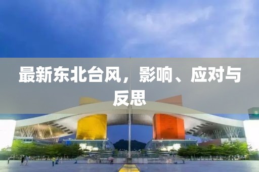 最新东北台风