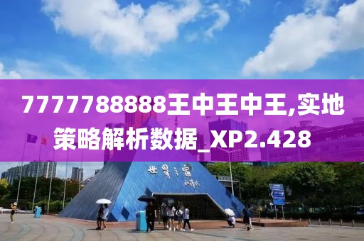 7777788888王中王中王,实地策略解析数据_XP2.428