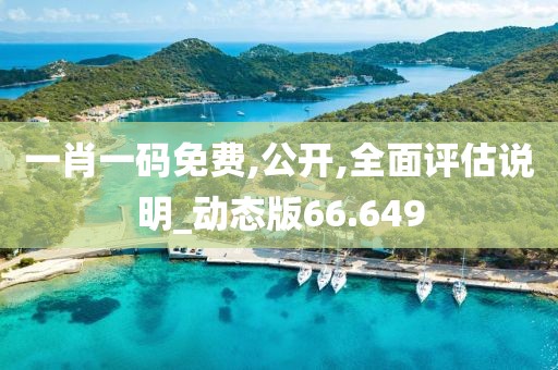 一肖一码免费,公开,全面评估说明_动态版66.649