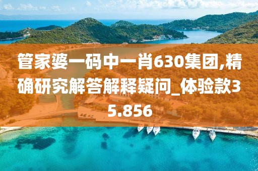 管家婆一码中一肖630集团,精确研究解答解释疑问_体验款35.856