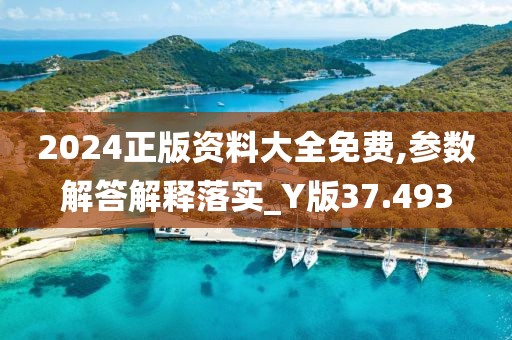 2024正版资料大全免费,参数解答解释落实_Y版37.493