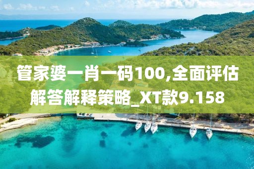 管家婆一肖一码100,全面评估解答解释策略_XT款9.158