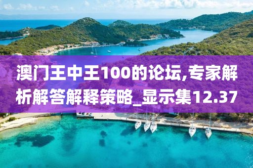 澳门王中王100的论坛,专家解析解答解释策略_显示集12.37