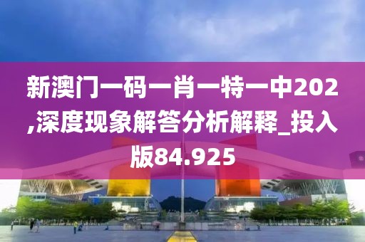 新澳门一码一肖一特一中202,深度现象解答分析解释_投入版84.925