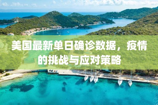 美国最新单日确诊数据，疫情的挑战与应对策略