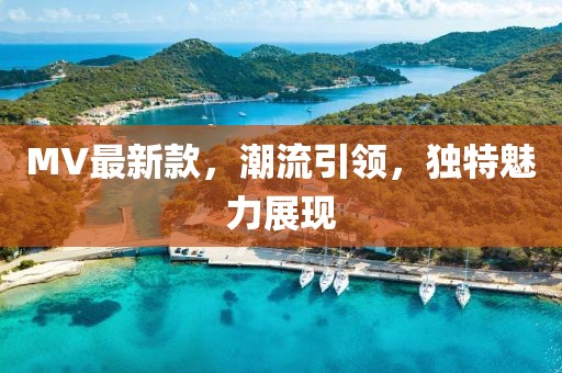 MV最新款