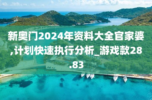 新奥门2024年资料大全官家婆,计划快速执行分析_游戏款28.83