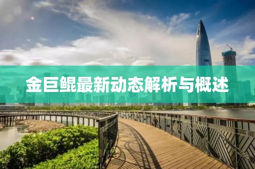 金巨鲲最新