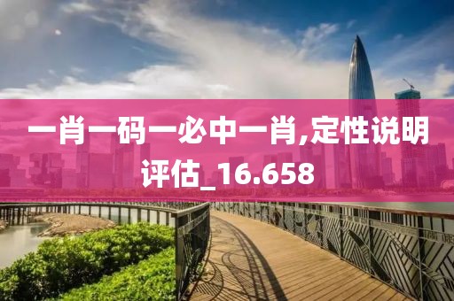 一肖一码一必中一肖,定性说明评估_16.658