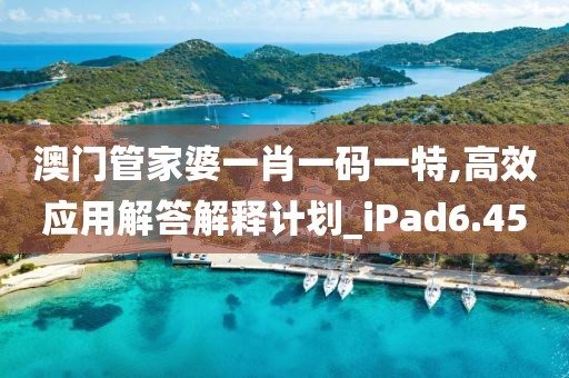 澳门管家婆一肖一码一特,高效应用解答解释计划_iPad6.45