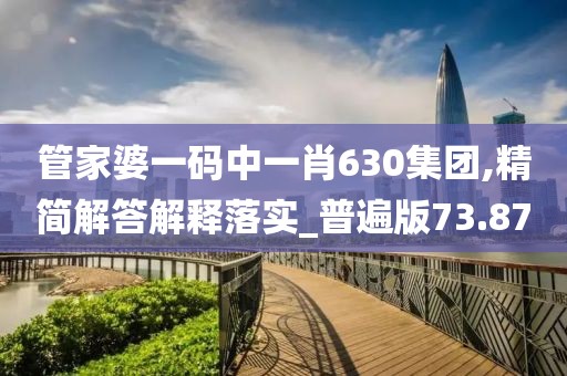 管家婆一码中一肖630集团,精简解答解释落实_普遍版73.87