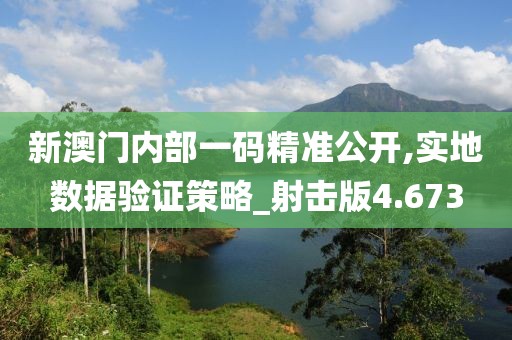 新澳门内部一码精准公开,实地数据验证策略_射击版4.673