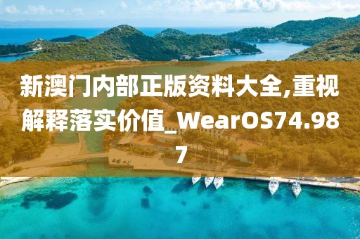 新澳门内部正版资料大全,重视解释落实价值_WearOS74.987