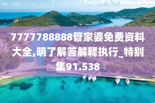 7777788888管家婆免费资料大全,明了解答解释执行_特别集91.538