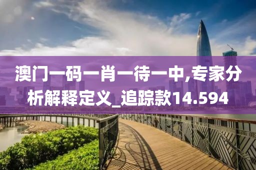 澳门一码一肖一待一中,专家分析解释定义_追踪款14.594