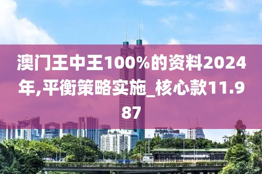 澳门王中王100%的资料2024年,平衡策略实施_核心款11.987