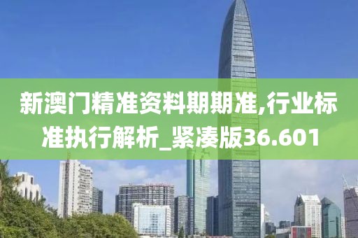 新澳门精准资料期期准,行业标准执行解析_紧凑版36.601