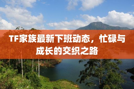tf家族下班最新