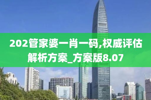 202管家婆一肖一码,权威评估解析方案_方案版8.07