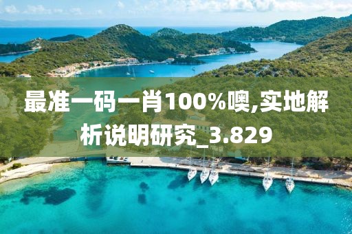 最准一码一肖100%噢,实地解析说明研究_3.829