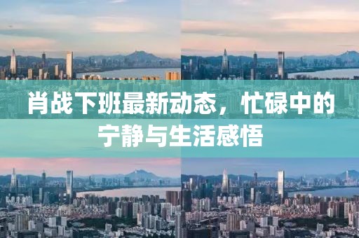 肖战下班最新