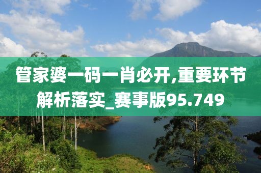 管家婆一码一肖必开,重要环节解析落实_赛事版95.749
