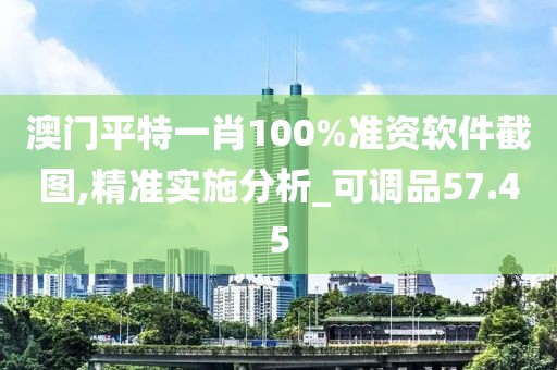 澳门平特一肖100%准资软件截图,精准实施分析_可调品57.45