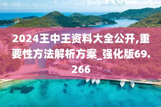 2024王中王资料大全公开,重要性方法解析方案_强化版69.266