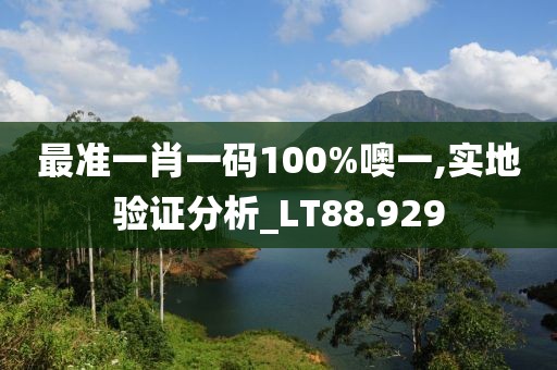 最准一肖一码100%噢一,实地验证分析_LT88.929