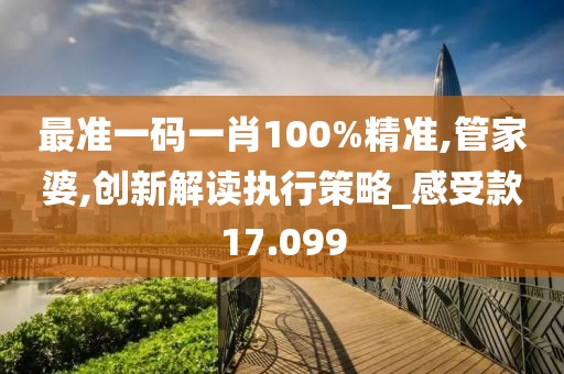 最准一码一肖100%精准,管家婆,创新解读执行策略_感受款17.099