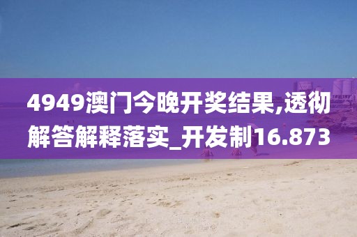 4949澳门今晚开奖结果,透彻解答解释落实_开发制16.873