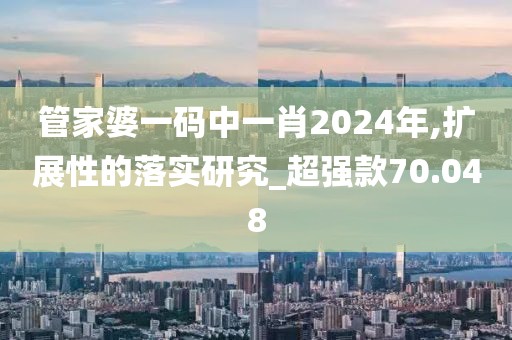 管家婆一码中一肖2024年,扩展性的落实研究_超强款70.048