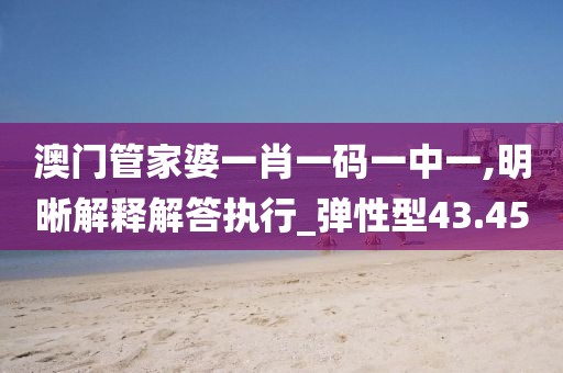澳门管家婆一肖一码一中一,明晰解释解答执行_弹性型43.45