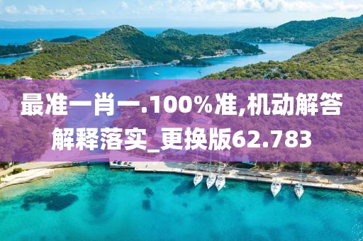 最准一肖一.100%准,机动解答解释落实_更换版62.783