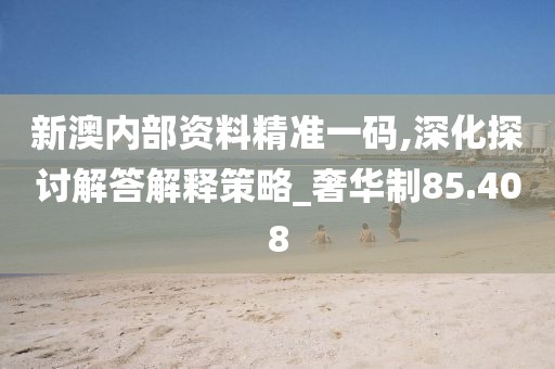 新澳内部资料精准一码,深化探讨解答解释策略_奢华制85.408