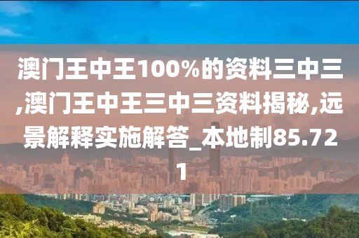 澳门王中王100%的资料三中三,澳门王中王三中三资料揭秘,远景解释实施解答_本地制85.721
