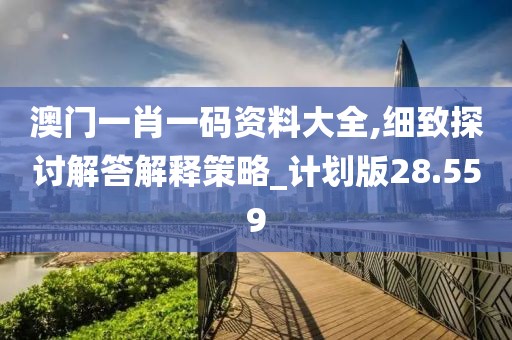 澳门一肖一码资料大全,细致探讨解答解释策略_计划版28.559