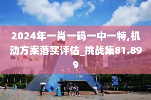 2024年一肖一码一中一特,机动方案落实评估_挑战集81.899