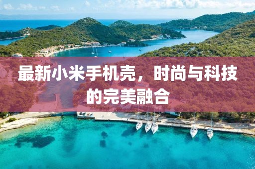 最新小米手机壳